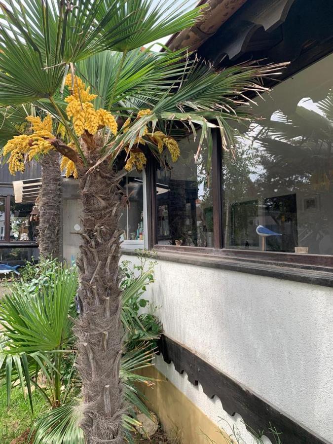 La Doi Pasi De Mare Hotel วามาเวเก ภายนอก รูปภาพ